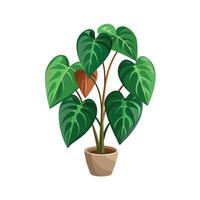 Beautiful Flowerpot Houseplant Illustration vector