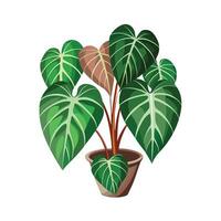 Beautiful Flowerpot Houseplant Illustration vector