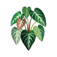 Beautiful Flowerpot Houseplant Illustration vector