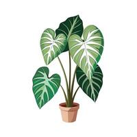 Beautiful Flowerpot Houseplant Illustration vector