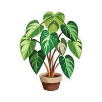 Beautiful Flowerpot Houseplant Illustration vector