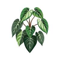 Beautiful Flowerpot Houseplant Illustration vector