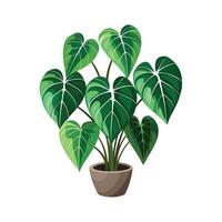 Beautiful Flowerpot Houseplant Illustration vector