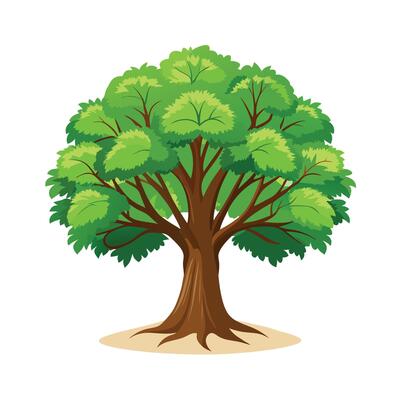 Beautiful Single Big Tree Illustration