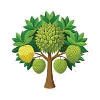 Beautiful Single Big Tree Illustration vector