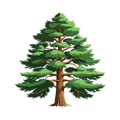 Beautiful Single Big Tree Illustration