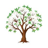 Beautiful Single Big Tree Illustration vector
