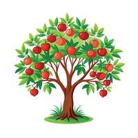 Beautiful Single Big Tree Illustration vector