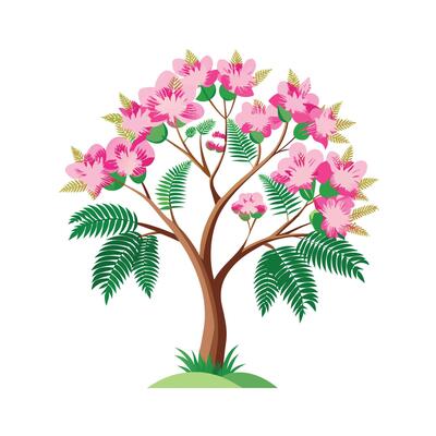 Beautiful Single Big Tree Illustration