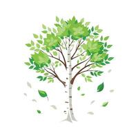 Beautiful Single Big Tree Illustration vector