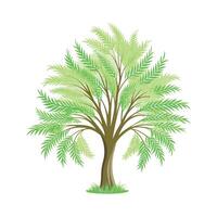 Beautiful Single Big Tree Illustration vector