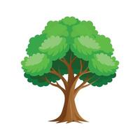 Beautiful Single Big Tree Illustration vector
