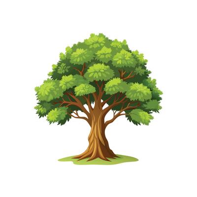 Beautiful Single Big Tree Illustration