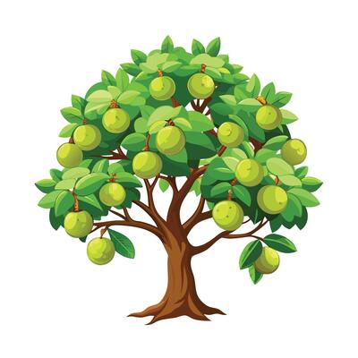 Beautiful Single Big Tree Illustration