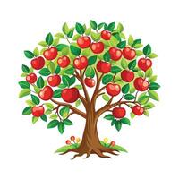 Beautiful Single Big Tree Illustration vector