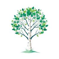 Beautiful Single Big Tree Illustration vector