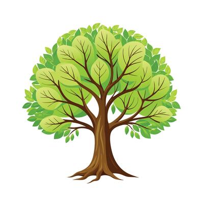 Beautiful Single Big Tree Illustration