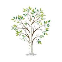 Beautiful Single Big Tree Illustration vector
