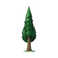 Beautiful Single Big Tree Illustration vector