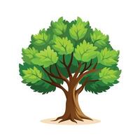 Beautiful Single Big Tree Illustration vector