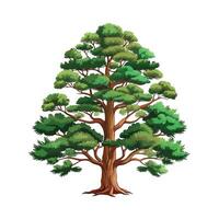Beautiful Single Big Tree Illustration vector