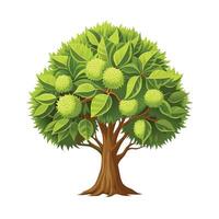 Beautiful Single Big Tree Illustration vector
