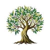 Beautiful Single Big Tree Illustration vector