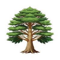 Beautiful Single Big Tree Illustration vector