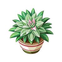 Beautiful Flowerpot Houseplant Illustration vector