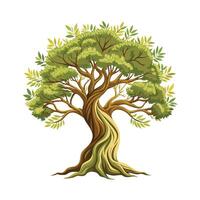 Beautiful Single Big Tree Illustration vector