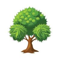 Beautiful Single Big Tree Illustration vector