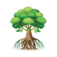 Beautiful Single Big Tree Illustration vector