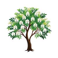 Beautiful Single Big Tree Illustration vector