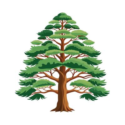 Beautiful Single Big Tree Illustration