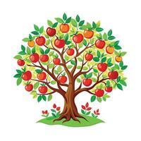 Beautiful Single Big Tree Illustration vector