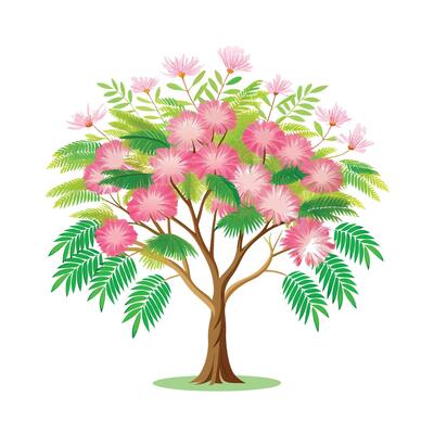 Beautiful Single Big Tree Illustration