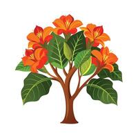 Beautiful Single Big Tree Illustration vector