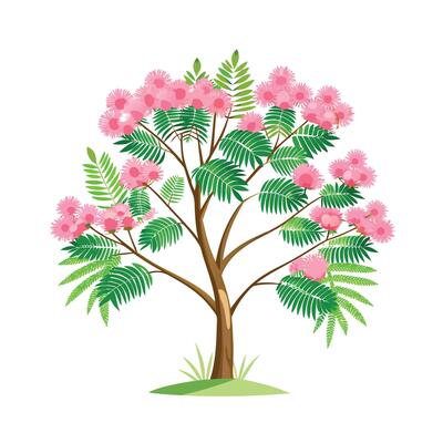 Beautiful Single Big Tree Illustration