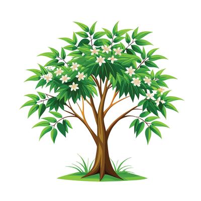 Beautiful Single Big Tree Illustration