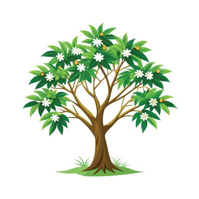 Beautiful Single Big Tree Illustration