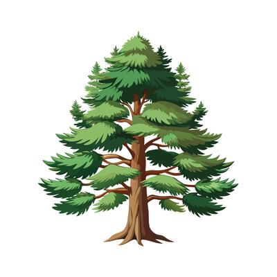 Beautiful Single Big Tree Illustration
