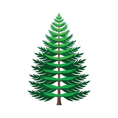Beautiful Single Big Tree Illustration
