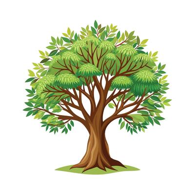 Beautiful Single Big Tree Illustration