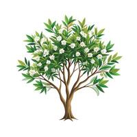 Beautiful Single Big Tree Illustration vector