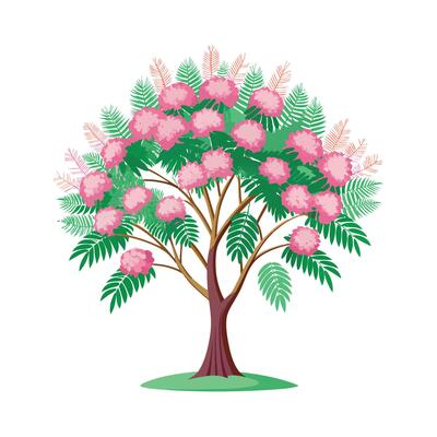 Beautiful Single Big Tree Illustration
