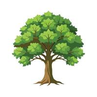 Beautiful Single Big Tree Illustration vector