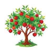 Beautiful Single Big Tree Illustration vector