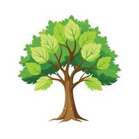 Beautiful Single Big Tree Illustration vector