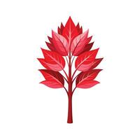 Beautiful Single Big Tree Illustration vector