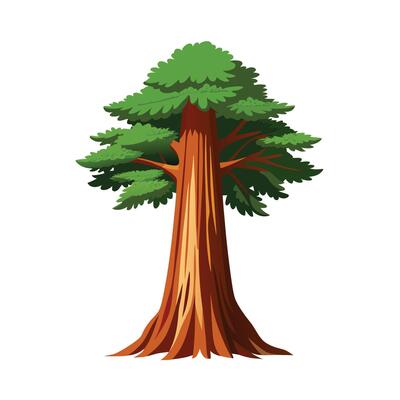 Beautiful Single Big Tree Illustration
